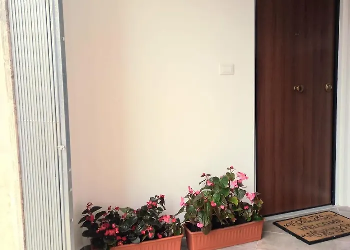 Casa Delle Begonie Appartamento Roma