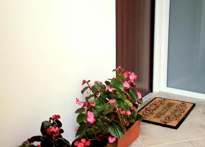 Appartamento Casa Delle Begonie Roma